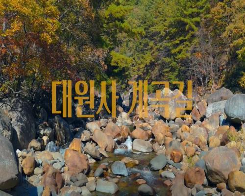 광복 80주년 태극기 달기 홍보 영상 이미지