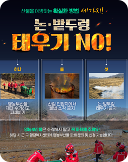산불을 예방하는 확실한 방법 세가지!
논 ·밭두렁 태우기 NO!
하나. 영농부산물 제때 수거하고 파쇄하기
둘. 산림 인접지에서 불법 소각 금지
셋. 논 ·밭두렁 태우기 금지
영농부산물은 소각하지 말고 꼭 파쇄해주세요!
해당 시·군·구 행정복지센터에 영농부산물 파쇄 문의 및 신청 가능합니다.