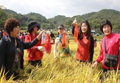 Grasshopper Catching Festival image