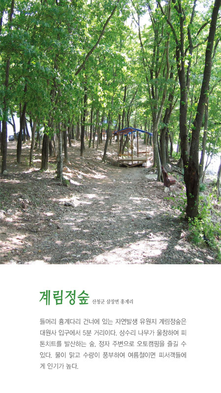 계림정숲 이미지